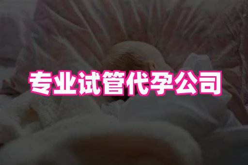 点点助孕网 1