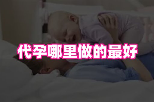 点点助孕网 2