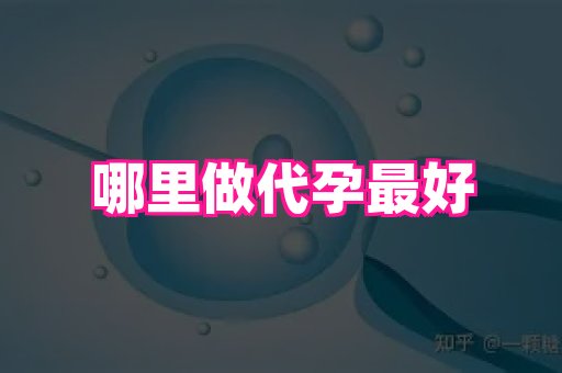 点点助孕网 4